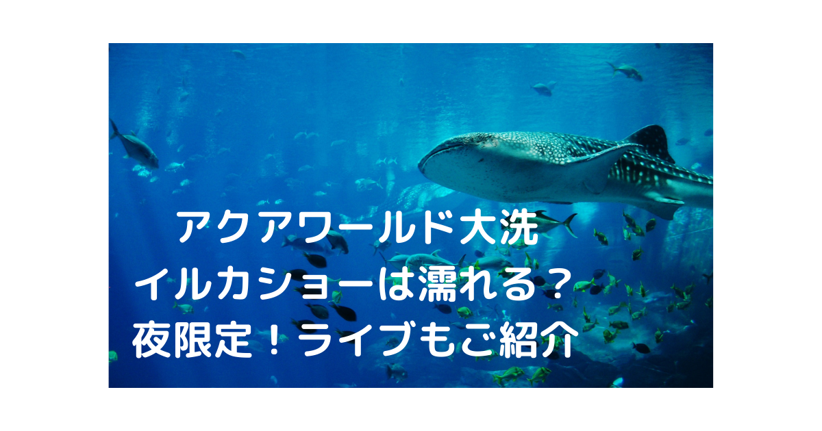 アクアワールド大洗イルカショーは濡れる 夜限定 ライブもご紹介 横浜幸せめぐり